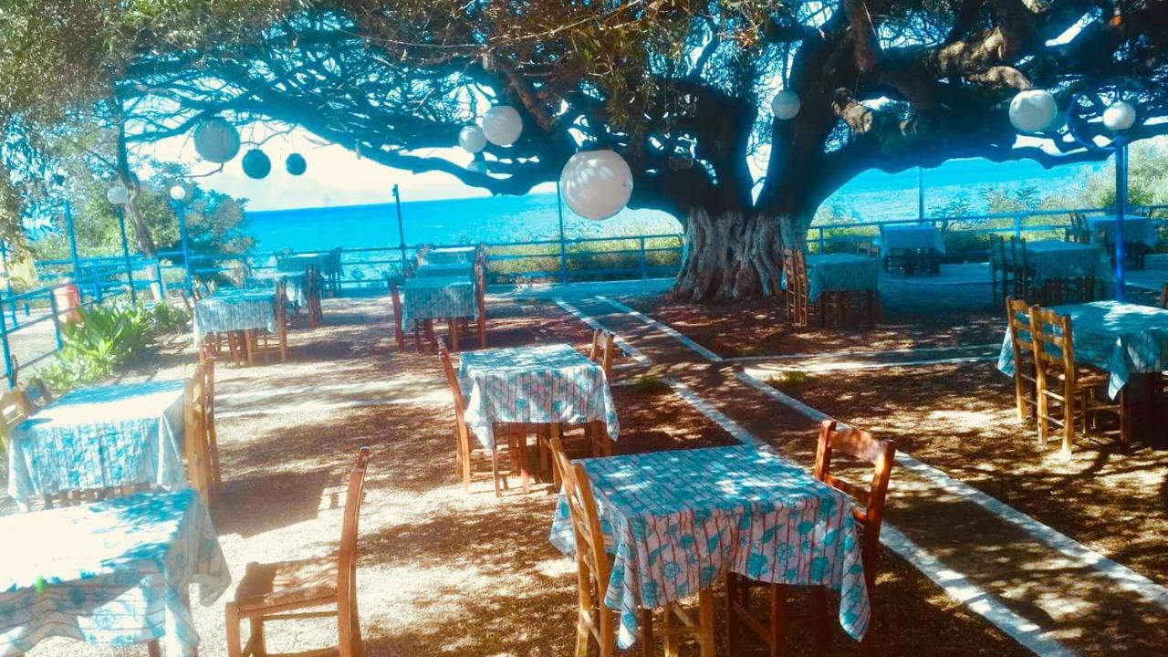 Camping Kato Alissos ภายนอก รูปภาพ